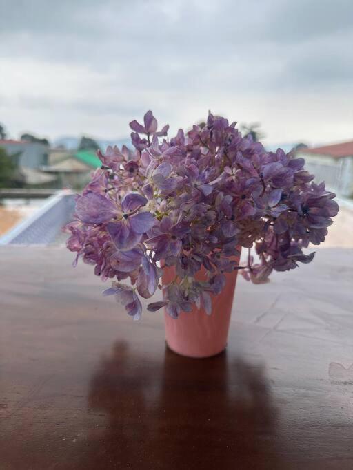 Jason Farm Villa Pacet  Dış mekan fotoğraf